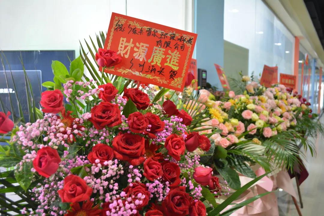 跑出世界速度，環(huán)保紙模先行者卡雷爾落地南沙